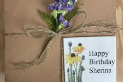 Birthday & Novelty Cake #473