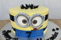 Birthday & Novelty Cake #474