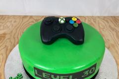 Birthday & Novelty Cake #480