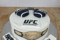 Birthday & Novelty Cake #487
