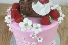 Birthday & Novelty Cake #492