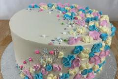 Birthday & Novelty Cake #498