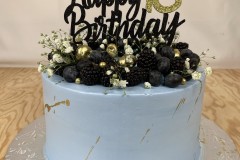 Birthday & Novelty Cake #499