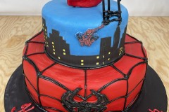 Birthday & Novelty Cake #509