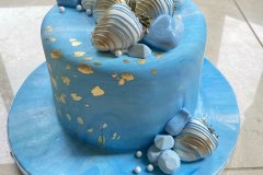 Birthday & Novelty Cake #510