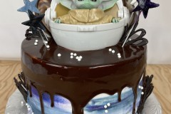 Birthday & Novelty Cake #512