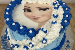 Birthday & Novelty Cake #515