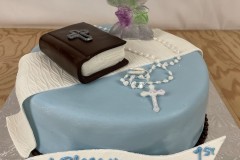 Birthday & Novelty Cake #517