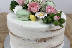 Birthday & Novelty Cake #521