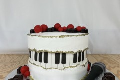 Birthday & Novelty Cake #523
