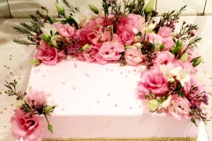 Birthday & Novelty Cake #360