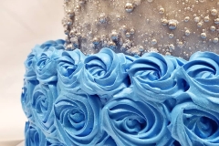 Birthday & Novelty Cake #369