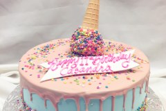 Birthday & Novelty Cake #376