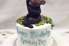 Birthday & Novelty Cake #373