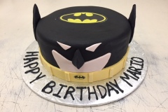 Birthday & Novelty Cake #357