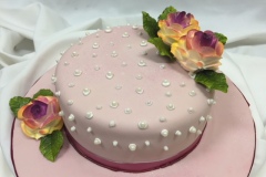 Birthday & Novelty Cake #355