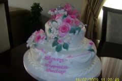 Wedding & Shower Cake #5
