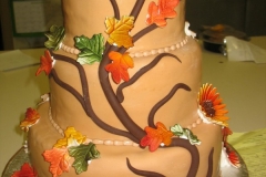 Wedding & Shower Cake #16