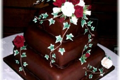Wedding & Shower Cake #22