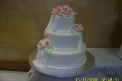 Wedding & Shower Cake #24
