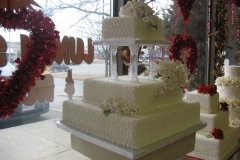 Wedding & Shower Cake #30