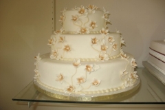 Wedding & Shower Cake #32