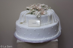 Wedding & Shower Cake #39