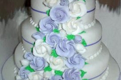 Wedding & Shower Cake #43