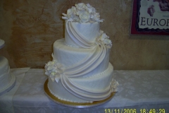 Wedding & Shower Cake #48