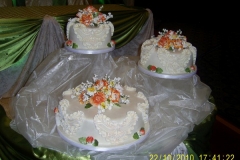 Wedding & Shower Cake #49