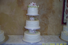 Wedding & Shower Cake #51