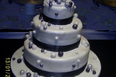 Wedding & Shower Cake #53