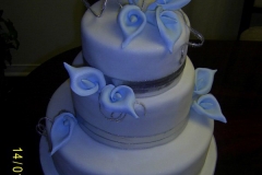 Wedding & Shower Cake #63