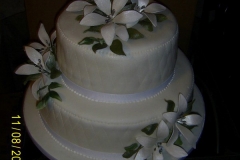 Wedding & Shower Cake #64