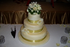 Wedding & Shower Cake #67