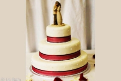 Wedding & Shower Cake #69