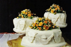 Wedding & Shower Cake #70