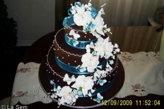 Wedding & Shower Cake #75