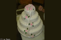 Wedding & Shower Cake #77