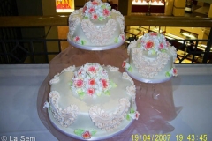 Wedding & Shower Cake #84