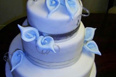 Wedding & Shower Cake #92