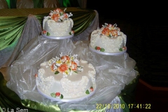 Wedding & Shower Cake #95