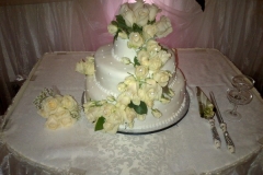 Wedding & Shower Cake #98