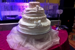 Wedding & Shower Cake #102