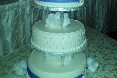 Wedding & Shower Cake #112
