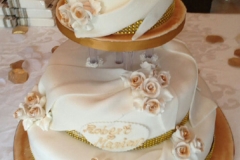 Wedding & Shower Cake #113
