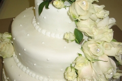 Wedding & Shower Cake #114