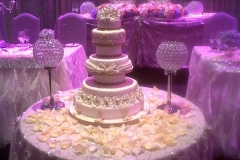 Wedding & Shower Cake #120