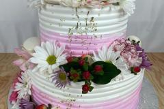 Wedding & Shower Cake #245