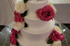 Wedding & Shower Cake #248